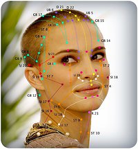 Japanese Face Massage. meridians on face